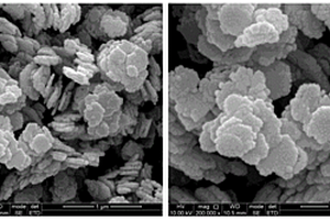 雪餅狀NiCo2O4納米材料修飾的電極材料及其制備方法和應(yīng)用