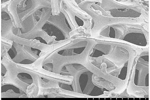 多孔三維電極材料及其制備方法