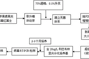 富士蘋果組培苗銹果類病毒脫除方法