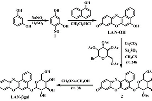 熒光基團(tuán)LAN-OH、熒光傳感器LAN-βgal及其制備方法和應(yīng)用