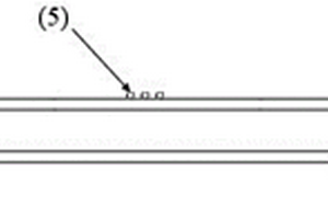 具有透明電極的QCM和LSPR生物傳感器