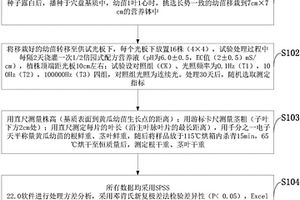 LED連續(xù)光和不同頻率間歇光對(duì)黃瓜生長(zhǎng)的測(cè)試方法