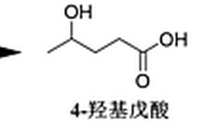 催化劑及其該催化劑的應(yīng)用、制備、性能測試方法