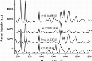 基于拉曼光譜技術(shù)的碳青霉烯類藥物敏感性的快速鑒定方法