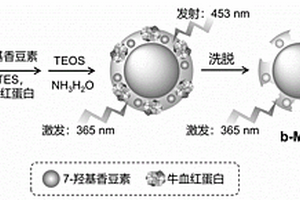 三熒光發(fā)射分子印跡傳感器及其制備和應(yīng)用