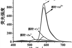 探針及其制備和應用