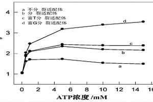 信號增強型人血清ATP熒光傳感器