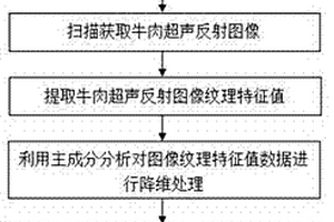 基于超聲成像技術(shù)的冷鮮牛肉與解凍牛肉的鑒別方法