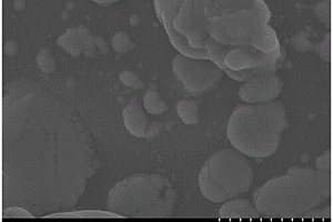 Bi<sub>2</sub>O<sub>3</sub>/劍麻纖維基碳復(fù)合材料的制備方法及其應(yīng)用