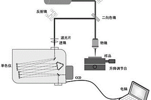 基于物鏡信號采集的拉曼光譜儀