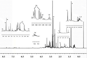 海馬1H?NMR指紋圖譜的構(gòu)建方法和用途