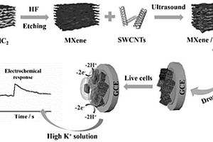 基于MXene-SWCNTs納米復合材料修飾的GCE電極