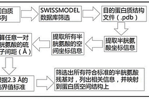 基于蛋白質空間結構的二硫鍵預測方法