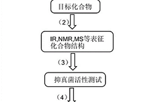 新型吲哚類化合物及其制備方法和應(yīng)用