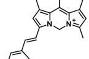 基于Cardipy染料的溶酶體靶向熒光探針及其制備方法和應(yīng)用