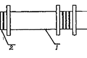 有軌式監(jiān)測(cè)管道