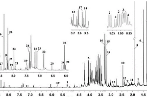 地龍1H NMR指紋圖譜的構(gòu)建方法與應(yīng)用
