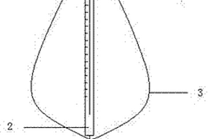 具有定位結(jié)構(gòu)的微量進樣器