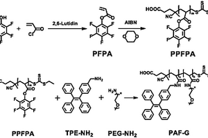 兩親性聚合物熒光材料及其合成方法