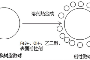 微米級均粒生物磁性微球及其制備方法