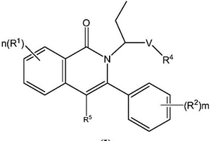 N-烷基取代芳基異喹啉酮化合物，其制備方法及藥物組合物和應(yīng)用