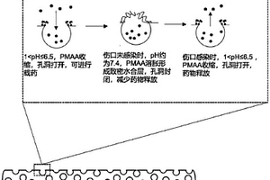 智能釋放藥物的柔性纖維藥盒及其制備和應(yīng)用