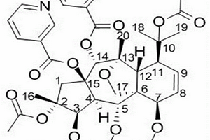 曼西醇類(lèi)化合物的提取分離方法