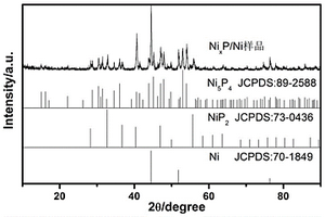 片狀鈉離子電池NiXP/Ni負(fù)極材料及其制備方法