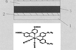 有機(jī)釕染料及染料敏化太陽能電池