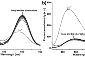 吡咯-萘酰亞胺衍生物熒光探針及其制備方法和應(yīng)用