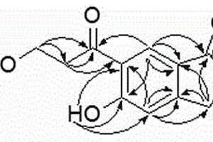 煙草中一種苯丙素類化合物的制備方法和應(yīng)用