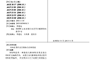 ESC42蛋白及其制備方法和用途