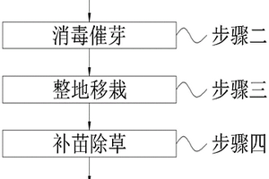 水稻生態(tài)種植方法