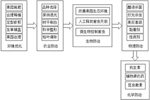 血橙種植的防蟲害方法