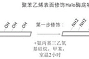 基于生物正交反應的定向抗體固定化方法