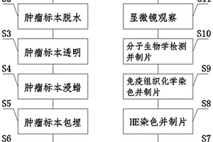 病理圖片三維重建的方法