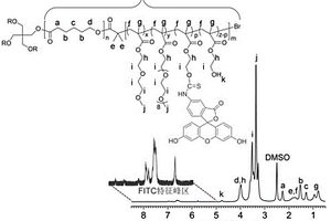 具有熒光標(biāo)記和溫度響應(yīng)性的星型聚合物基藥物載體材料的制備方法