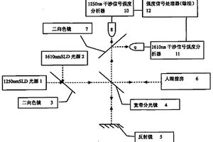 物質(zhì)濃度的無損光學(xué)檢測方法及其裝置