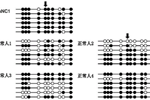 甲基化位點(diǎn)、檢測(cè)甲基化水平的產(chǎn)品的用途及試劑盒