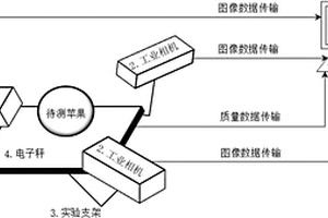 多目蘋果霉心病檢測(cè)裝置及方法