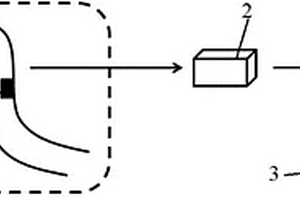 體內(nèi)血小板即時無標(biāo)記檢測系統(tǒng)