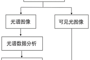 基于高光譜的文件字跡偽造的檢測(cè)方法