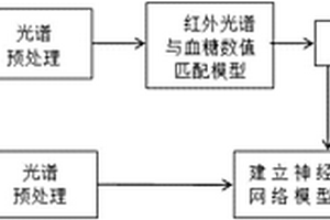 基于自組織競(jìng)爭(zhēng)神經(jīng)網(wǎng)絡(luò)模型和紅外光譜的血糖檢測(cè)方法