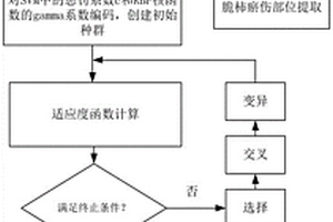 基于高光譜成像對柿子的輕微瘀傷檢測方法與裝置