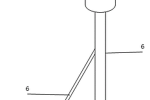 便攜式獼猴桃內(nèi)部品質(zhì)無(wú)損檢測(cè)光纖探頭