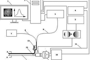 基于內(nèi)窺鏡的光學(xué)圖像和光譜信號檢測裝置