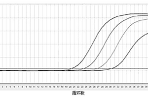 一步法病原體核酸熒光定量PCR檢測方法