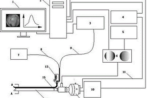 新型的內(nèi)窺光譜圖像與信號檢測裝置