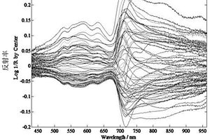 用于茶葉外形品質(zhì)檢測的高光譜特征波段優(yōu)化方法