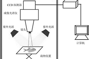 水產(chǎn)品化學污染物的無損實時檢測方法與裝置